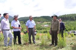 Phó Chủ tịch UBND tỉnh Lâm Đồng Đặng Trí Dũng kiểm tra công tác quản lý, bảo vệ rừng tại Bảo Lâm