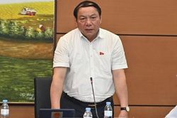 'Văn hóa tạo vaccine tinh thần để chúng ta vượt qua đại dịch'