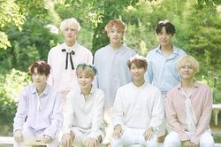 Top sao Hàn danh tiếng sạch nhất: BTS đặc biệt có 1 người
