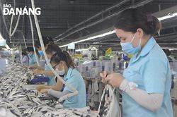Doanh nghiệp quan tâm các chính sách hỗ trợ thuế, lệ phí