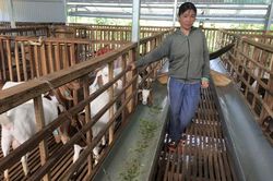 Mạnh dạn chuyển đổi, nuôi dê giống Nam Phi