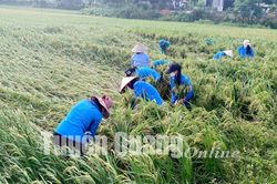Chủ động ứng phó, giảm thiểu thiệt hại do thiên tai