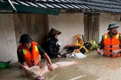 9 người chết do mưa lớn ở miền Bắc, cảnh báo một năm thiên tai khốc liệt