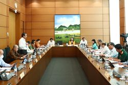 Hội đồng Y khoa chỉ nên thực hiện việc kiểm tra, đánh giá năng lực
