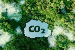 Tiềm năng của Việt Nam khi tham gia thị trường carbon giá trị cao