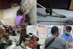 Đang ngồi bồn cầu bị trăn cắn vào mông, khi đi khám lại sốc thêm lần nữa