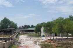 Thừa Thiên Huế: Doanh nghiệp chăn nuôi gây ô nhiễm bị phạt hàng trăm triệu đồng