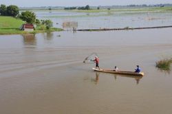 Mực nước trên sông Mekong ở nhiều nơi đang cao hơn trung bình nhiều năm