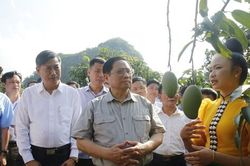 Thủ tướng biểu dương tinh thần 'bàn tay ta làm nên tất cả' trong nông nghiệp