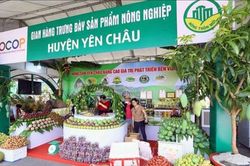 Rực rỡ sắc màu Festival trái cây và sản phẩm OCOP 2022