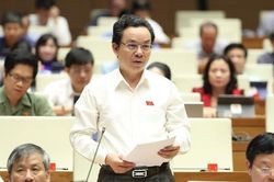 Đại biểu Quốc hội: Quy hoạch chậm do chưa hiểu đúng về quy hoạch tích hợp