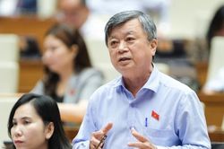 Đại biểu Quốc hội: Cần có Nghị quyết giải quyết dứt điểm vấn đề quy hoạch 'treo'