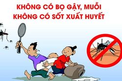 Ra quân hưởng ứng tháng hành động vì môi trường, phòng chống bệnh sốt xuất huyết