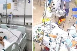 Bé 7 tuổi nguy kịch, men gan tăng gấp 100 lần do tái nhiễm sốt xuất huyết