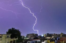 Đi thăm đàn lợn, người đàn ông ở Hà Tĩnh thấy 12 con lợn bị sét đánh chết