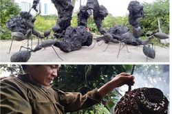 2 'dị nhân' Việt hốt bạc nhờ nghề lạ
