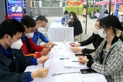Hà Nội: Hơn 22,7 nghìn lao động được giải quyết việc làm trong tháng 5