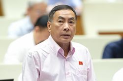 Luật Sở hữu trí tuệ: Cần cấm hành vi cản trở việc phổ biến, sử dụng Quốc kỳ, Quốc ca