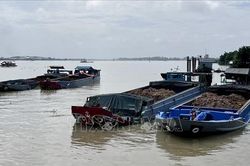 An Giang: Phát hiện 7 sà lan, ghe sắt vận chuyển đất trái phép số lượng lớn
