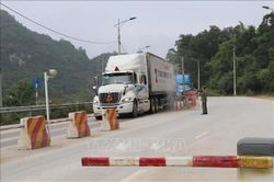 Lạng Sơn tăng cường giám sát, phòng chống bệnh đậu mùa khỉ tại cửa khẩu