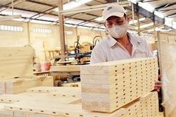 Mỹ khởi xướng điều tra tủ gỗ Việt