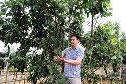 Xây dựng các mô hình tự quản trong vùng đồng bào dân tộc thiểu số ở Bảo Lâm