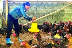 Yên Đồng khi cái 'khó' không 'bó' được người nông dân