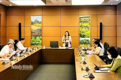Kỳ họp thứ 3, Quốc hội khóa XV: Đại biểu Quốc hội tỉnh tham gia thảo luận về một số dự án luật