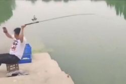 'Cao thủ' chưa kịp quăng cần đã câu được cá
