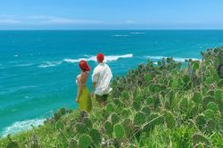 'Khu vườn' xương rồng hướng thẳng ra biển - điểm check-in cho mùa hè thơ mộng
