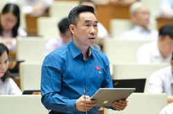Cấm ngăn chặn, cản trở việc phổ biến, sử dụng Quốc kỳ, Quốc huy, Quốc ca là cần thiết