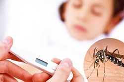 Cách theo dõi, chăm sóc bệnh nhân sốt xuất huyết tại nhà