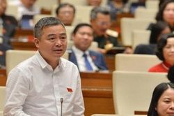 Đại biểu Nguyễn Lân Hiếu: Đã đến lúc trở về bình thường cũ để hướng tới 2 mục tiêu