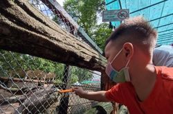 Thảo Cầm Viên đông đúc trẻ em trong ngày Quốc tế Thiếu nhi