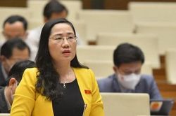 Phó Chủ nhiệm Ủy ban Tư pháp chỉ rõ các chiêu trò trục lợi đấu giá đất