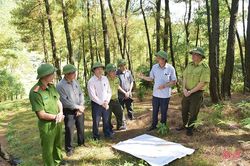 Các địa phương, đơn vị tiếp tục tập trung cao phòng chống cháy rừng