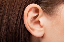 Phát hiện mới về tai giữa của người tiến hóa từ mang cá