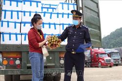 Lạng Sơn: Hỗ trợ tốt nhất cho xuất khẩu hoa quả tươi