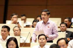 Cần quy định rõ biện pháp chống thất thu thuế theo quy định, đảm bảo phát triển lành mạnh