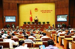 Cử tri Đà Nẵng đồng tình với ý kiến của đại biểu Quốc hội về kiềm chế giá xăng dầu