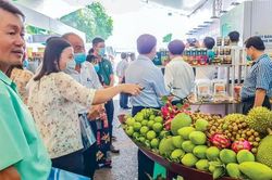 Hình hài siêu trung tâm nông sản Tây Đô
