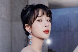 Lộ bằng chứng fandom của Dương Tử tâng bốc idol quá đà, bảo sao thần tượng bị ghét