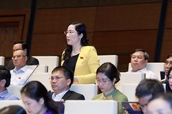 Đại biểu Quốc hội nói gì về góc khuất, tiêu cực trong đấu giá quyền sử dụng đất?