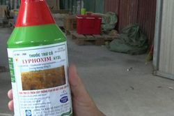 Giữa lòng Thủ đô, thuốc trừ cỏ Trung Quốc công khai được 'phù phép' thành hàng 'made in Việt Nam'