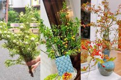 3 loại cành độc lạ giá 'bèo' gây sốt thị trường đến 'cháy hàng'