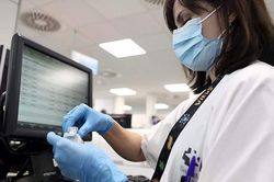 WHO: Đậu mùa khỉ có liên quan đến biến đổi khí hậu