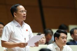 Nhiều bất cập trong quy định về nhà ở, đất đai