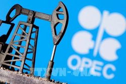 OPEC+ nhất trí tăng sản lượng dầu thô lên 648.000 thùng/ngày