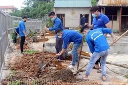 Trồng gần 200 cây xanh tại khuôn viên Bệnh viện Đa khoa tỉnh
