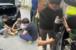 Phát hiện đối tượng vận chuyển số lượng mật gấu 'khủng'